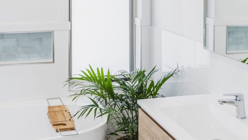 plants in a modern bathroom